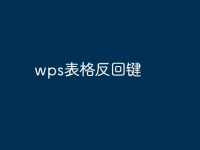 wps表格反回键-路由网