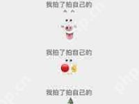 微信拍一拍有哪些小动物图标-路由网