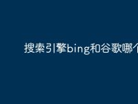 搜索引擎bing和谷歌哪个好-路由网