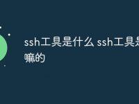 ssh工具是什么 ssh工具是干嘛的-路由网