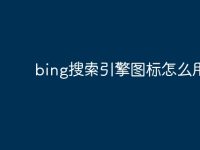 bing搜索引擎图标怎么用-路由网