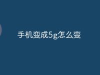 手机变成5g怎么变-路由网