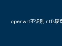 openwrt不识别 ntfs硬盘？-路由网