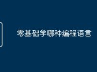 零基础学哪种编程语言-路由网