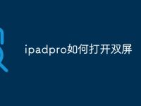 ipadpro如何打开双屏-路由网