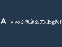 vivo手机怎么关闭5g网络-路由网