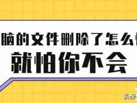 怎么恢复删除的文件 电脑文件被删除或格式化后恢复数据教程-路由网