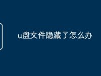 u盘文件隐藏了怎么办-路由网