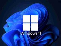 升级Windows 11前必须做好哪些准备-路由网