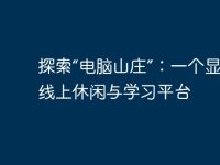 探索“电脑山庄”:一个显著的线上休闲与学习平台-路由网