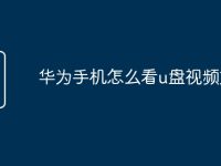 华为手机怎么看u盘视频文件-路由网