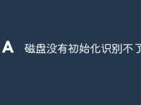磁盘没有初始化识别不了-路由网