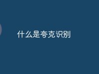 什么是夸克识别-路由网