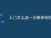 入门怎么选一台微单相机-路由网