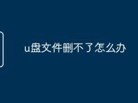 u盘文件删不了怎么办-路由网