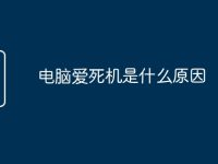 电脑爱死机是什么原因-路由网