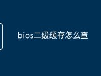 bios二级缓存怎么查-路由网