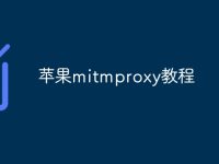 苹果mitmproxy教程-路由网