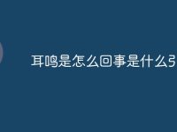 耳鸣是怎么回事是什么引起的-路由网