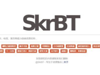 skrbt引擎浏览器链接入口分享2024-路由网