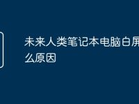 未来人类笔记本电脑白屏是什么原因-路由网