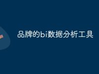 品牌的bi数据分析工具-路由网