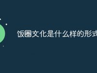 饭圈文化是什么样的形式-路由网