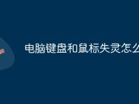 电脑键盘和鼠标失灵怎么办-路由网