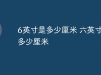 6英寸是多少厘米 六英寸等于多少厘米-路由网