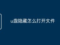 u盘隐藏怎么打开文件-路由网
