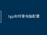 tgp如何看电脑配置-路由网