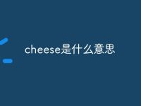 cheese是什么意思-路由网