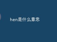 hen是什么意思-路由网