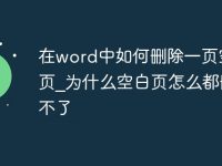 在word中如何删除一页空白页_为什么空白页怎么都删除不了-路由网