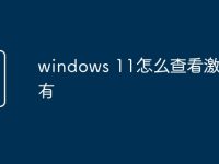 windows 11怎么查看激活没有-路由网