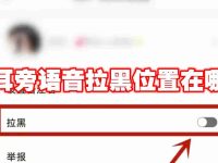 耳旁语音拉黑位置在哪-路由网