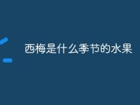 西梅是什么季节的水果-路由网