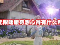 无限暖暖奇想心得有什么用-路由网