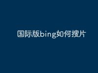 国际版bing如何搜片-路由网