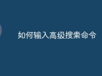 如何输入高级搜索命令-路由网