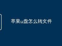 苹果u盘怎么转文件-路由网