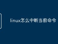 linux怎么中断当前命令-路由网
