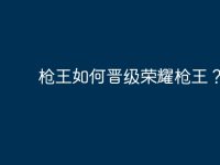 枪王如何晋级荣耀枪王？-路由网