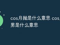 cos月抛是什么意思 cos月抛男是什么意思-路由网