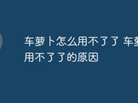 车萝卜怎么用不了了 车萝卜用不了了的原因-路由网