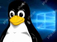 科技大V尝试用Linux系统替代微软Windows:日常没问题 游戏很糟糕-路由网