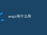 wapi有什么用-路由网