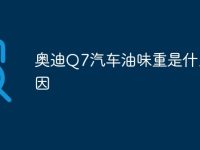 奥迪Q7汽车油味重是什么原因-路由网