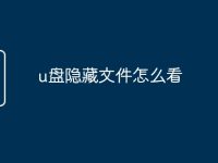 u盘隐藏文件怎么看-路由网
