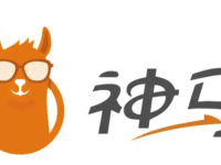 神马搜索手机版地址 2025神马搜索手机版官方地址入口-路由网